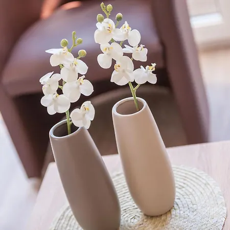 Stoertebeker * ساسنيتز